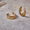 Aavani Earrings - Gold