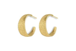 Aavani Earrings - Gold