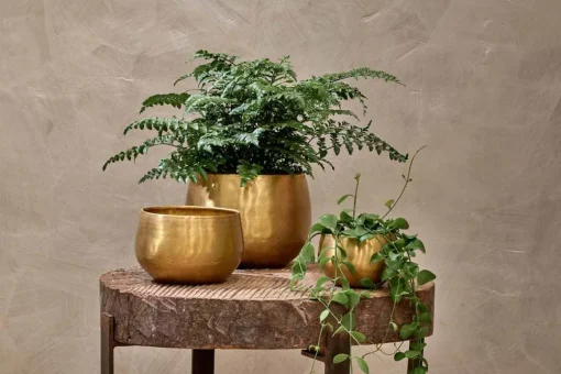 Atsu Brass Planter