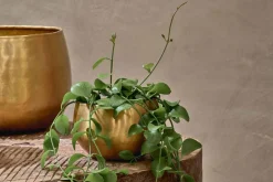 Atsu Brass Planter