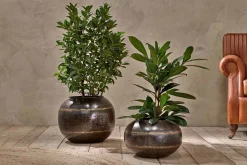 Endo Reclaimed Iron Globe Planter