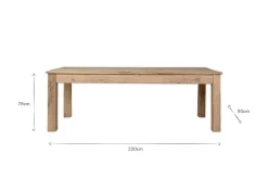 Fioni Reclaimed Wood Dining Table - Natural