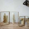 Folded Danta Frame - Antique Brass