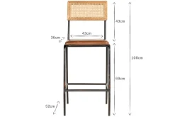 Iswa Leather & Cane Counter Chair - Aged Tan