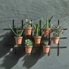 Jara Terracotta Wall Hung Planter