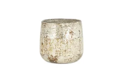 Juniper & Fir 1 Wick Scented Candle