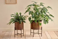 Juoni Iron Planter
