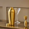 Rahuri Cocktail Shaker