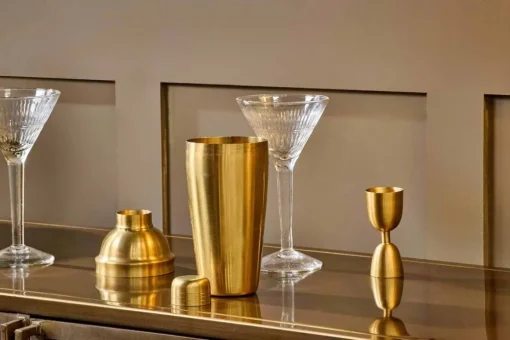 Rahuri Cocktail Shaker